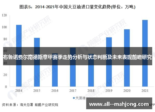 布鲁诺费尔南德斯意甲赛季走势分析与状态判断及未来表现前瞻研究